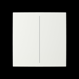 2CKA006199A0164 Busch-Jaeger Abdeckung für Trevion-Keypad 1-bis 4-fach alpinwe Produktbild front M