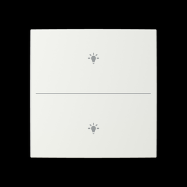 2CKA006199A0338 Busch-Jaeger Abdeckung 2-fach für Trevion Keypad / Symbol Lich Produktbild front M