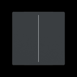 2CKA006199A0050 Busch-Jaeger Abdeckung für Trevion-Keypad 1-bis 4-fach anthraz Produktbild front M