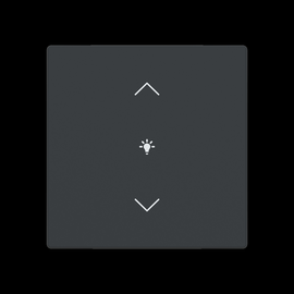 2CKA006199A0191 Busch-Jaeger Abdeckung 1-fach für Trevion Keypad / Symbol Dimm Produktbild front M