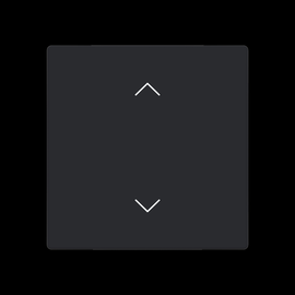 2CKA006199A0212 Busch-Jaeger Abdeckung 1-fach für Trevion Keypad / Symbol Pfei Produktbild front M