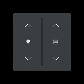 2CKA006199A0239 Busch-Jaeger Abdeckung 2-fach Trevion Keypad/Symbol Dimmen/Jal Produktbild front M