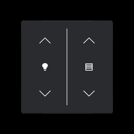 2CKA006199A0244 Busch-Jaeger Abdeckung 2-fach Trevion Keypad/Symbol Dimmen/Jal Produktbild front M