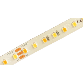 10500220 Spektra LED LED Streifen 14,4W TW/5m Produktbild front M