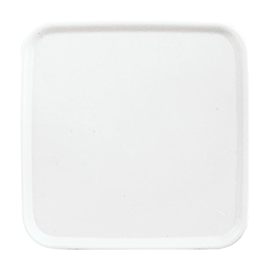 2CKA001753A2389 Busch-Jaeger Zentralscheibe Blindabdeckung Passend z Produktbild front M