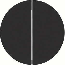 MAN0306624 Berker Taste 2fach Berker R.x schwarz, matt Produktbild front M
