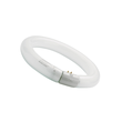 0001961 Sylvania T9 Circline Plus G10q FC22W 840 SL Produktbild