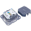 DD-TRIO-C6 UP WS WIREWIN DATENDOSE UP 2XRJ45 CAT6 REINWS MIT STAUBSCHUTZKAPPE Produktbild Additional View 4 S