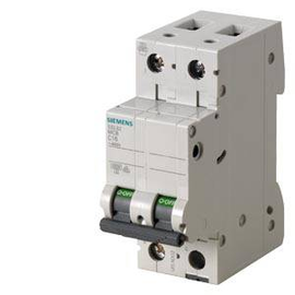 5SL6213-7 Siemens LS-SCHALTER 6KA 2POL C13 Produktbild