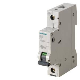 5SL4106-6 Siemens LS SCHALTER 10KA 1POL B6 Produktbild