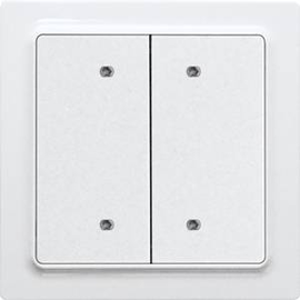 30055650 Eltako B4T55E am Bus 2 oder 4 Kanal Taster im E Design55, anthrazit m Produktbild front M