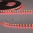 115585 Isoled LED RGB+WW 48V Flexband, 19W, IP20 Produktbild front S