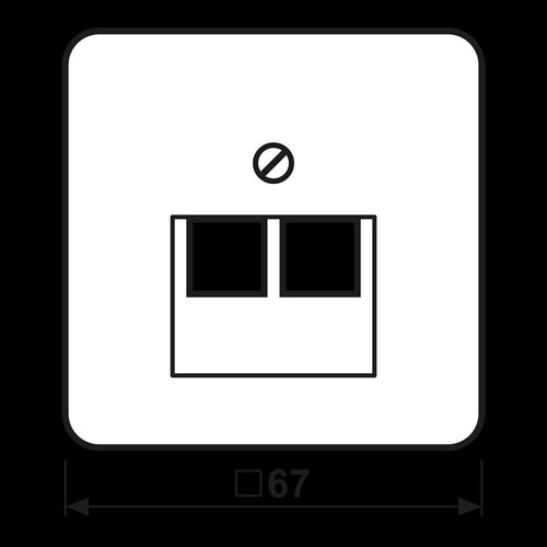 569-2UA JUNG ZENTRALSTÜCK F.IAE/UAE ANSCHLD. 2X8 POL. KAT5 WEISS Produktbild Additional View 1 L
