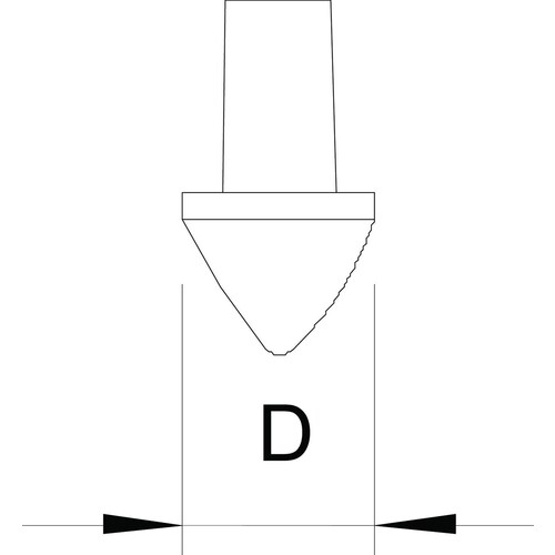 3041212 OBO 1819 20BP Erderspitze für Erder 20mm Temperguss tauchfeuerverzinkt Produktbild Additional View 1 L