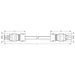 771-8982/007-704 Wago Verbindungsleitung Buchse Stecker 2 polig, dunkelgrau Produktbild Additional View 1 S