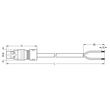 771-8982/206-302 Wago Anschlussleitung Stecker   offenes Leitungsende 2 polig, Produktbild Additional View 1 S