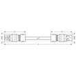 771-8992/005-703 Wago Verbindungsleitung Buchse Stecker 2 polig, grau Produktbild Additional View 1 S