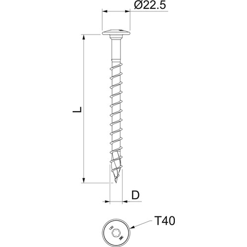 3498140 Obo HT 10x80 TD Tellerkopfschraube für Holzbauteile 10x Produktbild Additional View 1 L