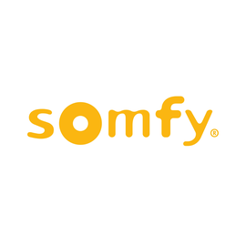 9750040 Somfy Tandemstg. zur Steuerung von 2 Antrieben in einer Welle Produktbild