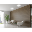 789-42310 Molto Luce Deckenleuchte 2x A60 ECO E27 230V 57W 380x380mm Produktbild Additional View 3 S