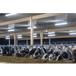 5240035 Pracht LED FR Rohrleuchte TUBIS BL 1,6m 1x42W 120° IP67/69K 6500lm PMMA Produktbild Additional View 1 S