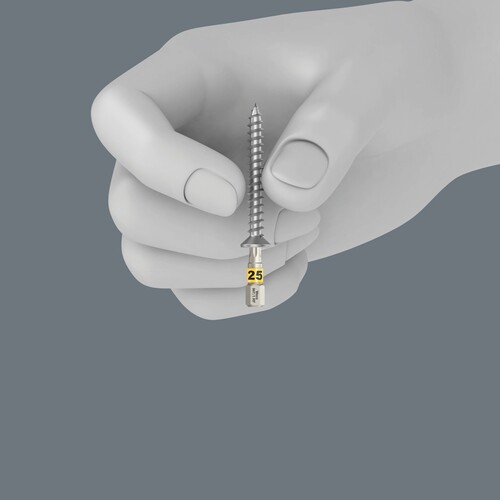 05057436001 Wera Bit-Check 30 Wood TX HF 1, 30-teilig Produktbild Additional View 2 L