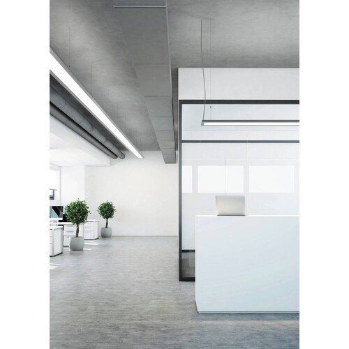10166464 Trilux LuceoS H2-L CDP 6500-840 ETDD 01 Produktbild Additional View 5 L