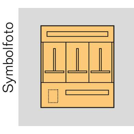 EC3OÖ ERA Zählerverteilereinsatz Oberöst erreich bxhxt=696x800x155mm Produktbild