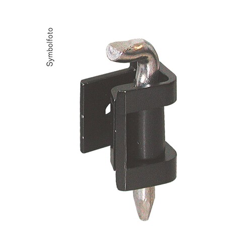 SCHAIWS9005 ERA Scharnier 180° für IWS SIS-innen sw RAL9005+M6X8SSG+niro Stift Produktbild Additional View 1 L