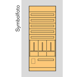 EC8O1 ERA Zählerverteilereinsatz Oberösterreich, bxhxt=696x1700x155mm, M Produktbild