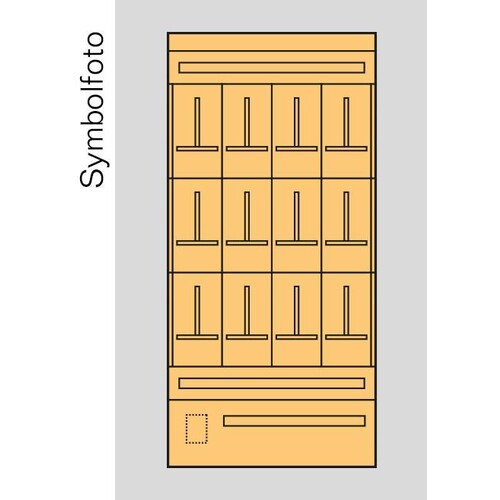 ED9S3 ERA Zählerverteilereinsatz Salzburg, bxhxt=916x1900x155mm, Metall  Produktbild Front View L