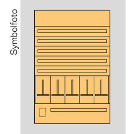 EE8S1 ERA Zählerverteilereinsatz Salzburg, bxhxt=1136x1700x155mm, Metall Produktbild