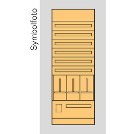 EC9O1 ERA Zählerverteilereinsatz Oberösterreich, bxhxt=696x1900x155mm, M Produktbild