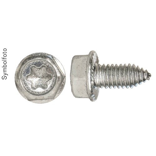 G6X13KTXSZFZ10 ERA Sechskantschraube M6x13, gewindefurchend, Torx 30 10Stk/P Produktbild Front View L