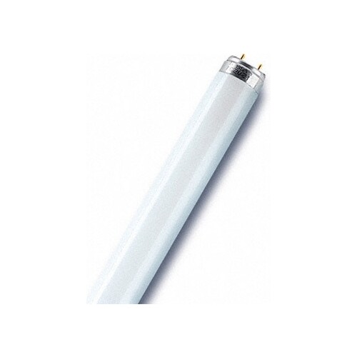 518091 OSRAM Leuchtstofflampen L 36-1/W Lichtfarbe 840 EEI:A Produktbild Additional View 4 L