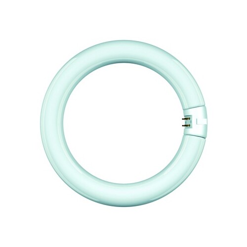 68815 Scharnberger+H. Leuchtstofflampe Ring Form T9 29x307mm G10q 32W/840 cool Produktbild Additional View 3 L