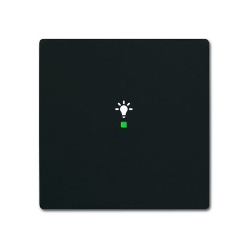 6231-10-885 Busch-Jaeger Wippe 1 fach Licht Symbol schwarz matt Produktbild Additional View 1 L