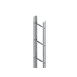 921126 Niedax STL 60.303/3 Steigetrasse, 60X300x3000 mm, 1 kN Sprossenabstand 30 Produktbild